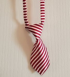 CAT/SMALL DOG costume business tie